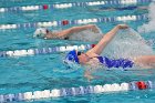 Swimming & Diving vs Babson  Swimming & Diving vs Babson College. - Photo by Keith Nordstrom : Wheaton, Swimming